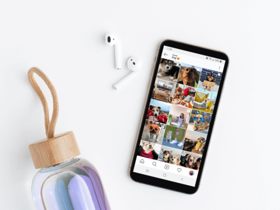 9 Colorful Instagram Dog Accounts You'd Be Barking Mad Not to Follow