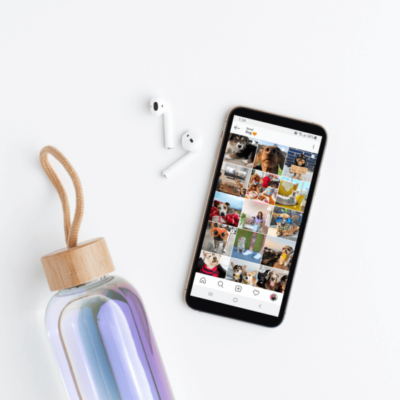 9 Colorful Instagram Dog Accounts You'd Be Barking Mad Not to Follow