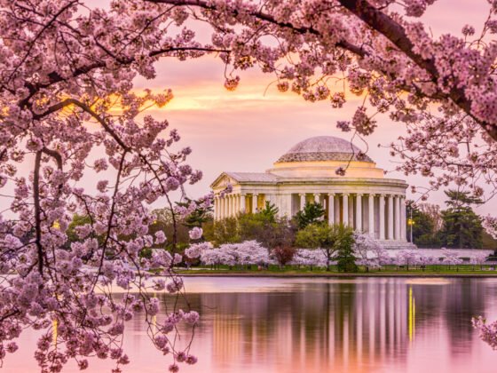 Thomas Jefferson Memorial in DC at sunset