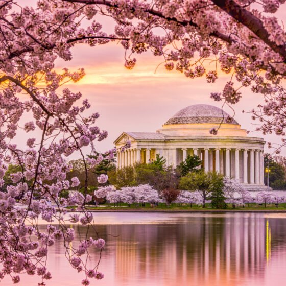 Thomas Jefferson Memorial in DC at sunset