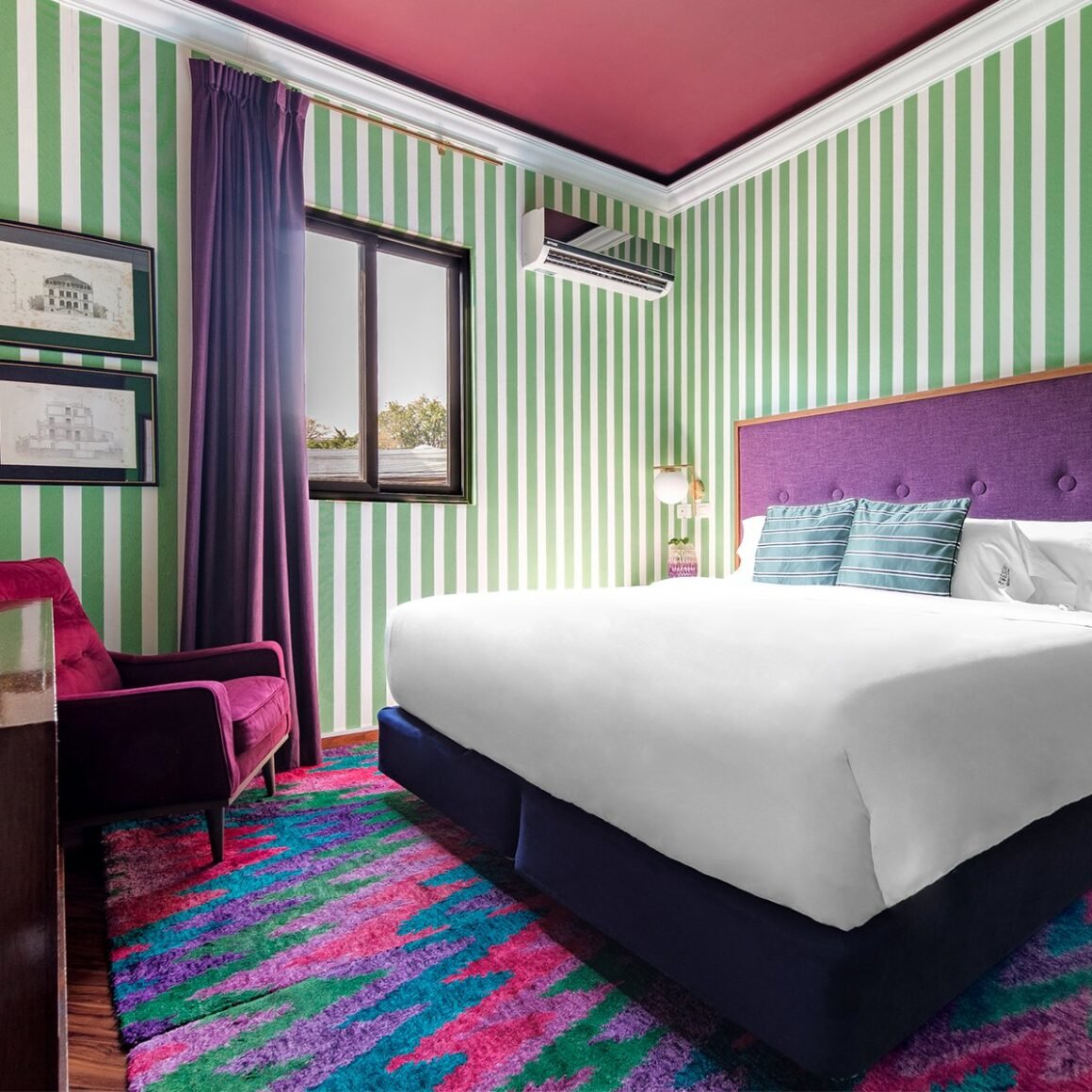 Pug Seal Anatole France CDMX