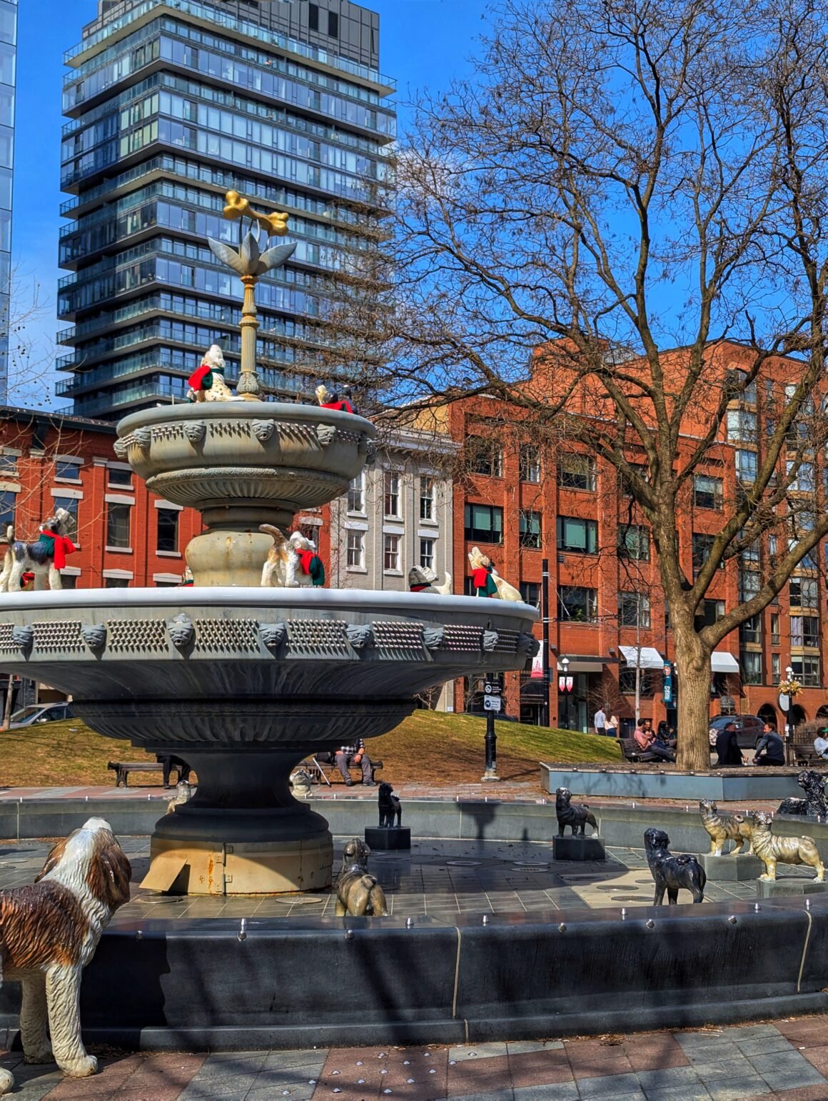 Berczy Park water fountain with 27 dogs and one cat