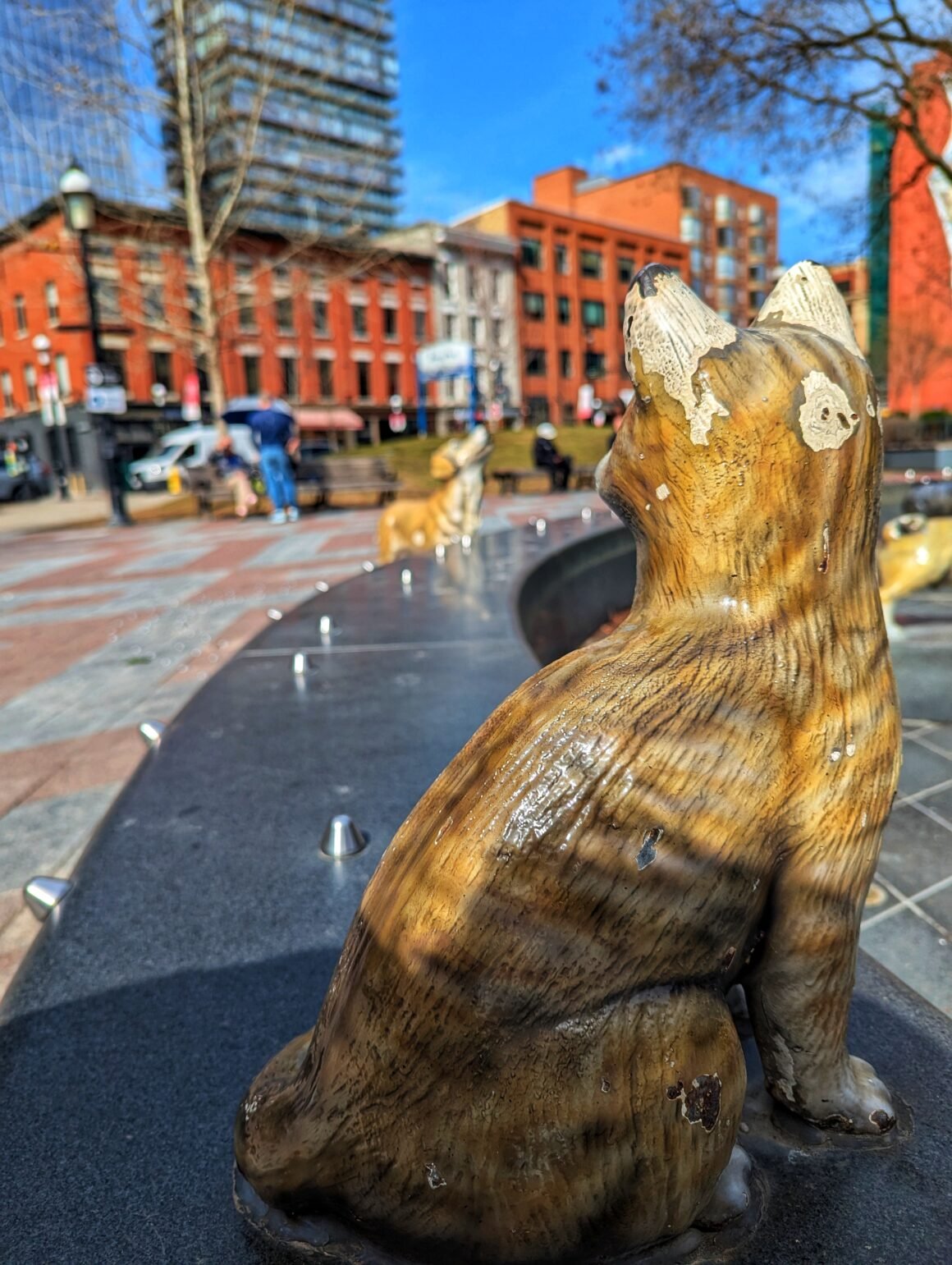 Berczy Park water fountain cat