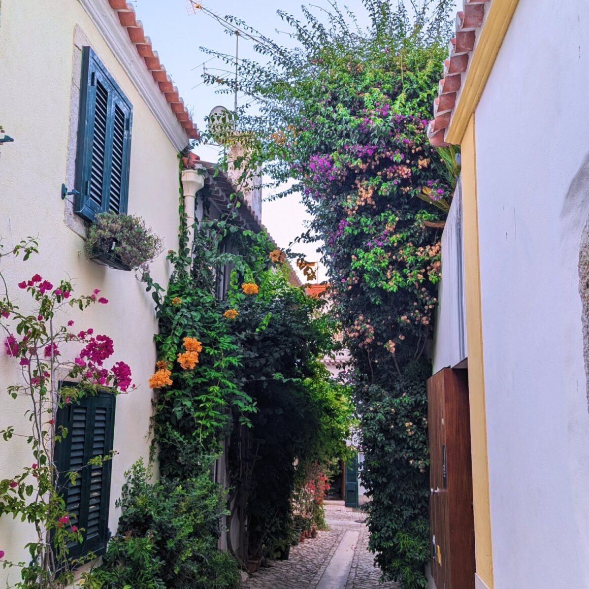 picture of flowers on a building in Cascais