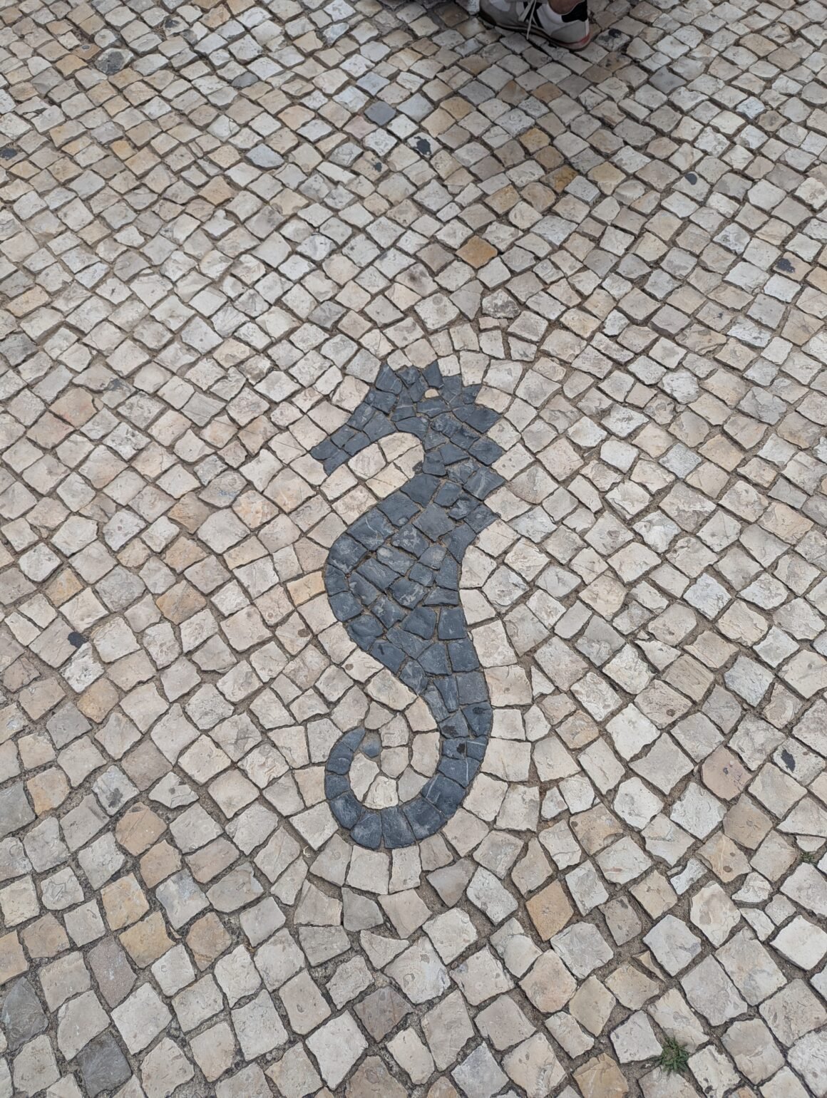 a seahorse in mosaic tile in Cascais